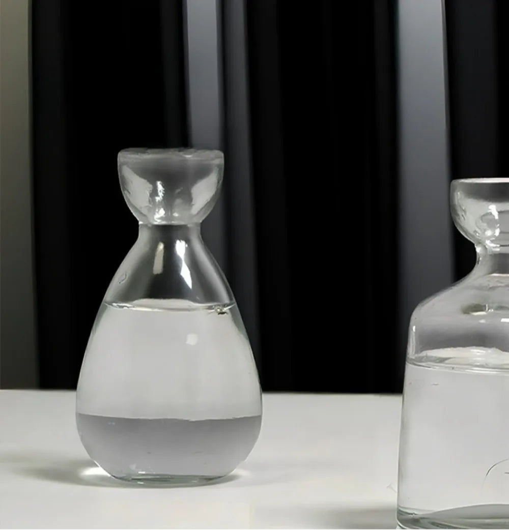Elegant Hydroponic Glass Vase - Desktop Decor Planter