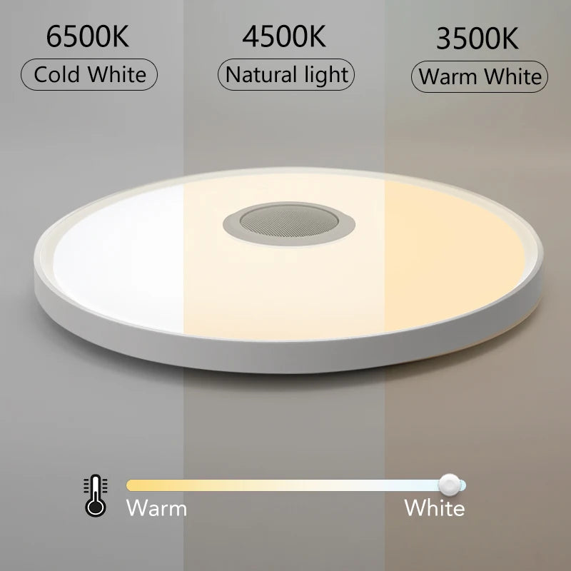 LED Smart RGB Ceiling Lamp with Speaker - App Control & Dimmable
