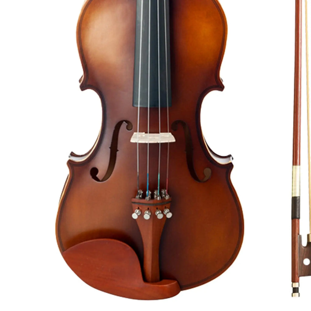 Acoustic Violin Set 4/4 for Beginners with Hard Case