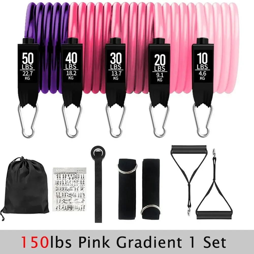 Resistance Bands Set: Full Body Workout for Strength Training & Fitness