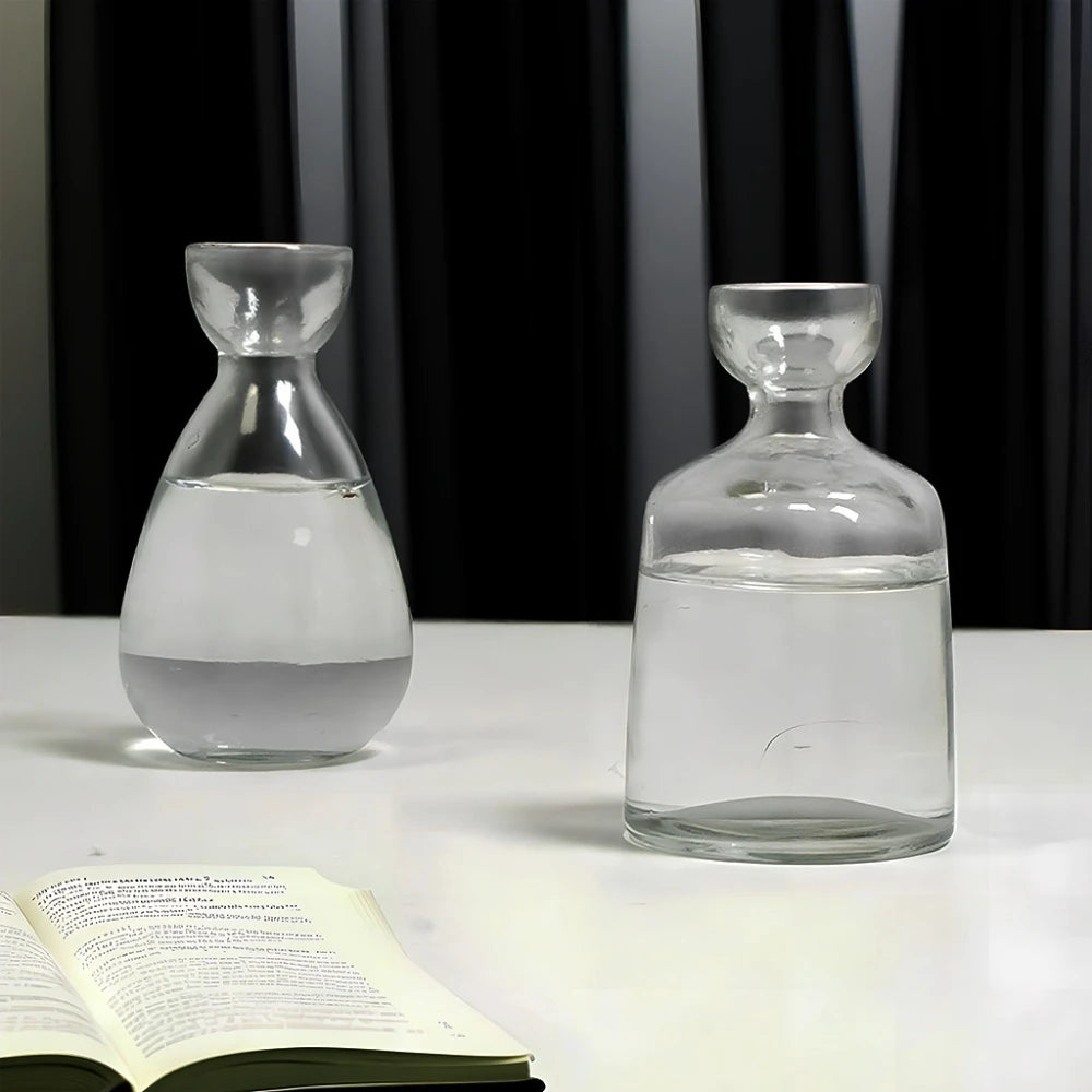 Creative Hydroponic Glass Seed & Avocado Planter Vase | Modern Home Decor