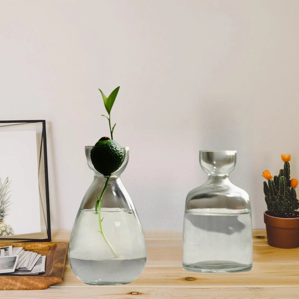Elegant Hydroponic Glass Vase - Desktop Decor Planter